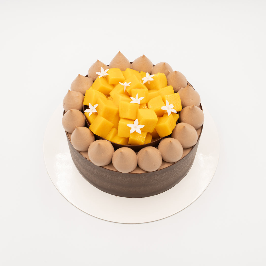 Chocolate Celebration Cake